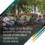 The role of collective action in enhancing social protection systems in rural areas